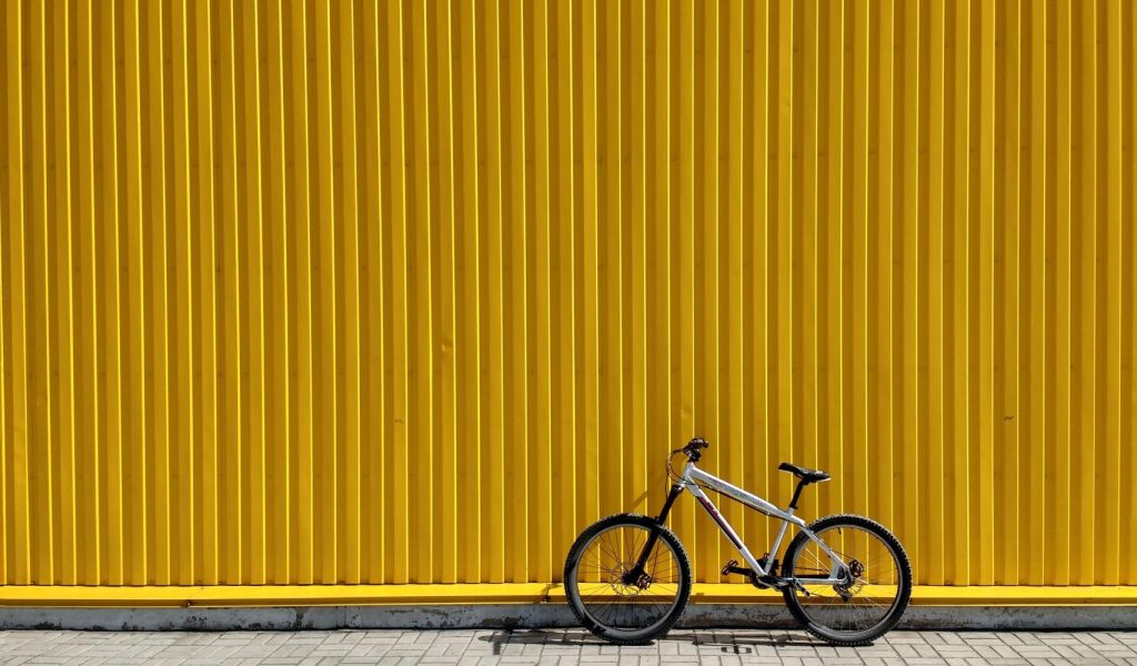 bicicleata transport